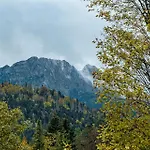 W Centrum Gorski Krysztal, Odkryj-zakopane * Zakopane