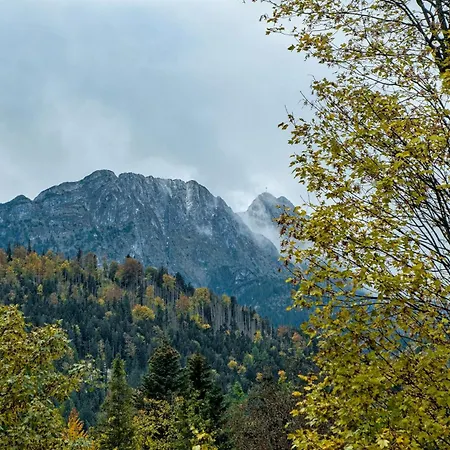 W Centrum Gorski Krysztal * Zakopane